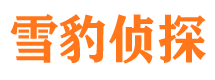 渑池外遇出轨调查取证